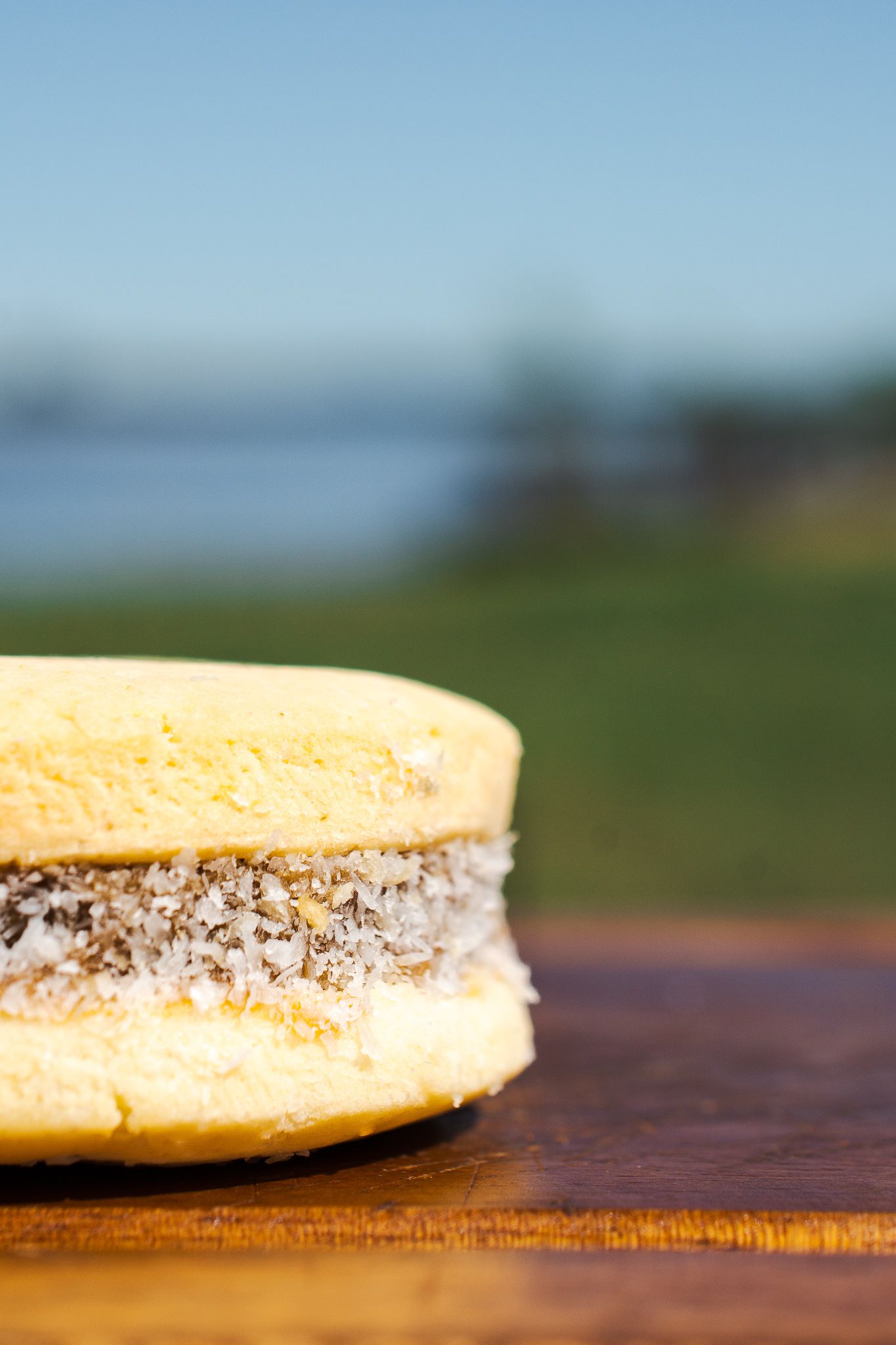 Imagen de la diapositiva