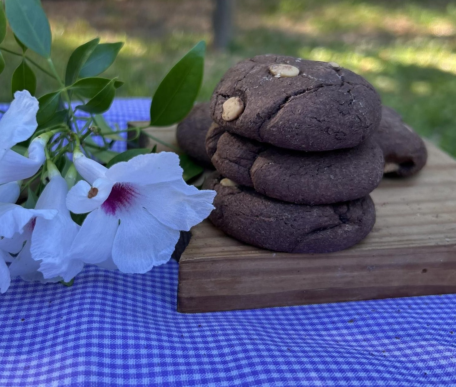 Imagen de la diapositiva