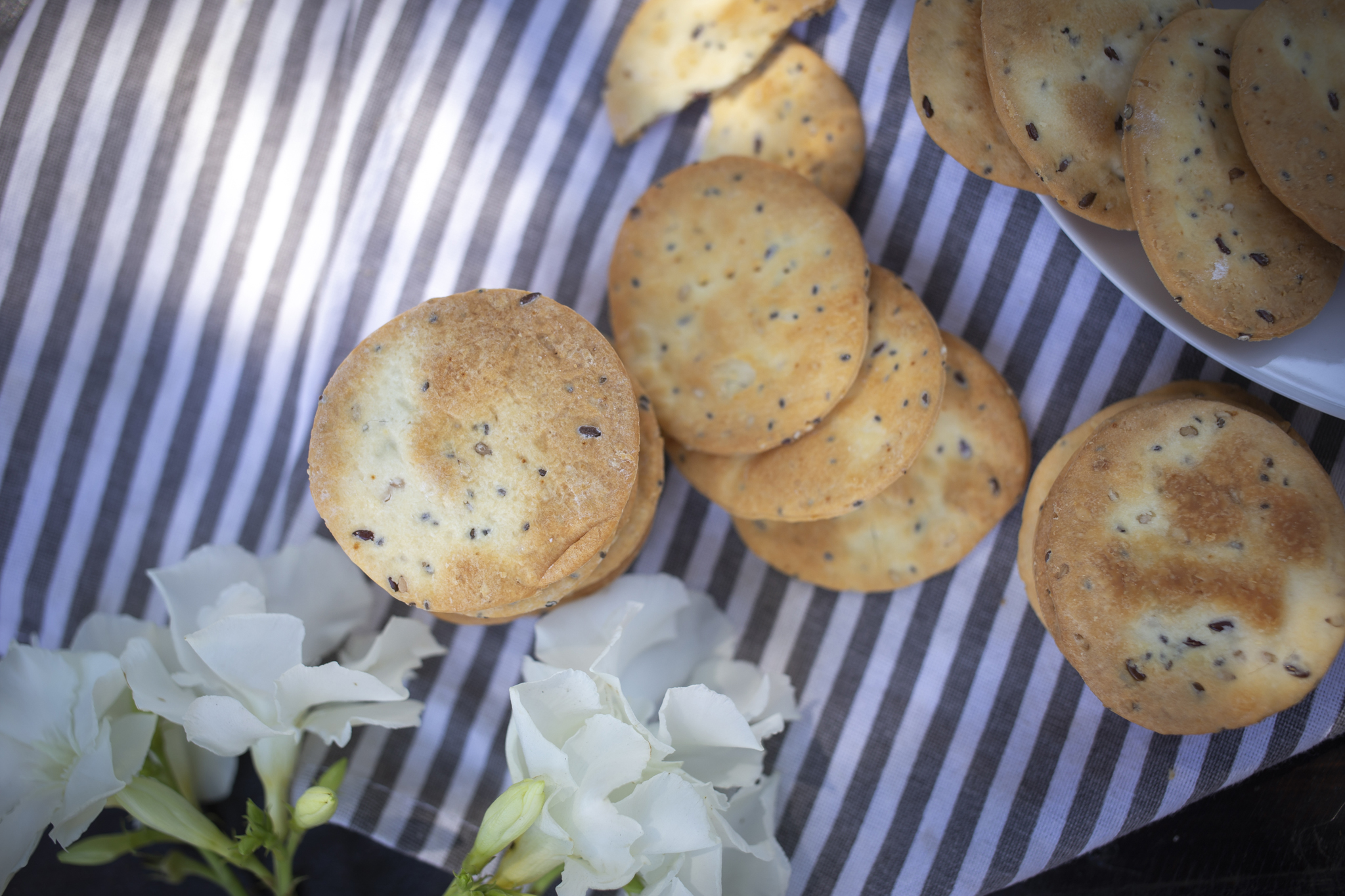 Galleta malteada c/semillas