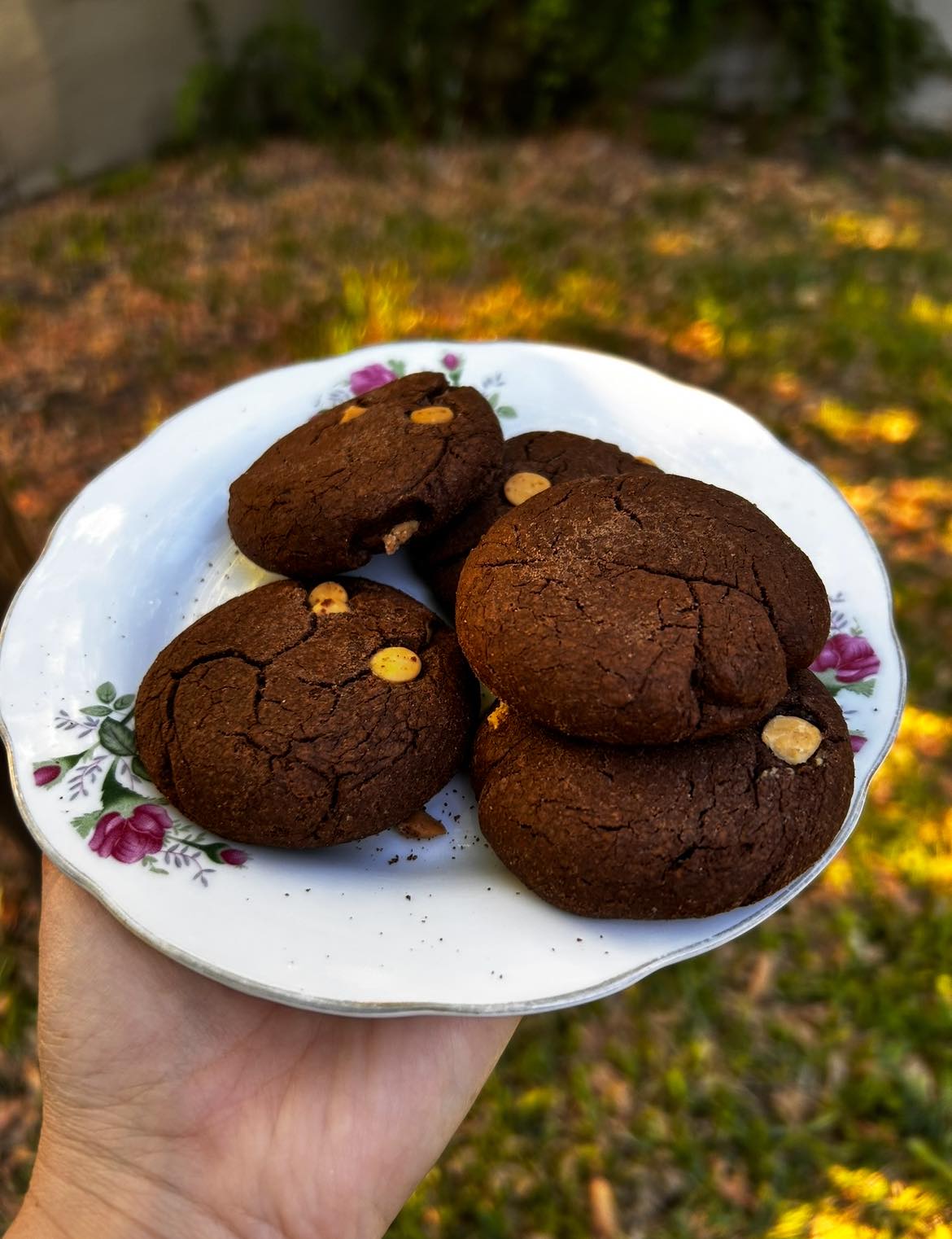 Galletitas de Chocolate